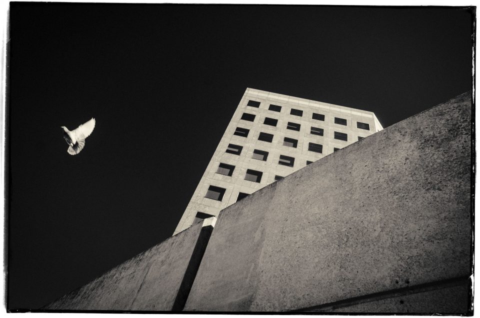 DSCF9982use-0f769efe