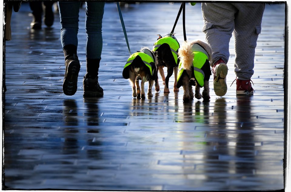 Fujifilm X-H2S Review008